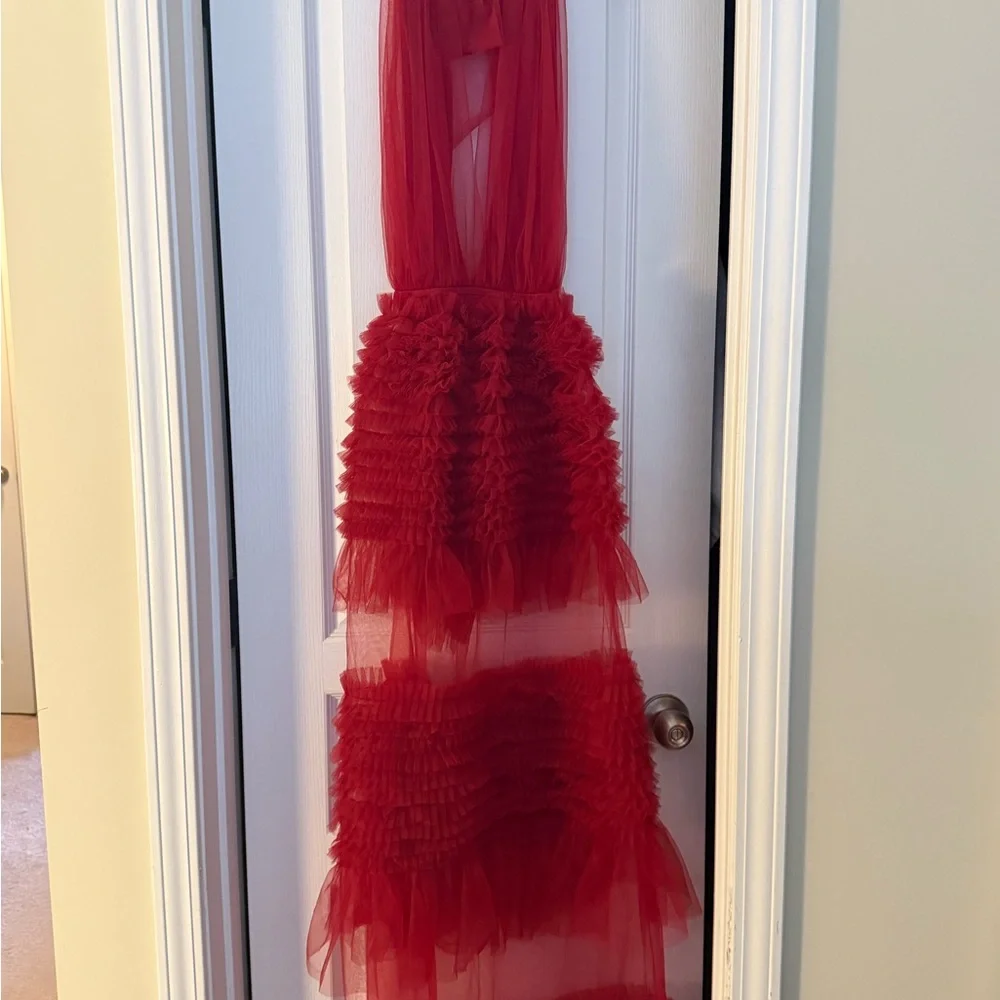 Gorgeous Meshki Minka Mesh Ruffle Maxi Dress- Size XXS - Picture 3 of 6